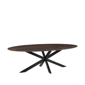 Table de Salle a Manger James 240x100x76 cm