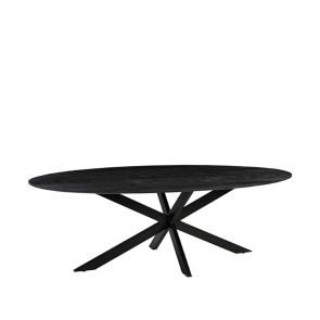 Table de Salle a Manger James 240x100x76 cm